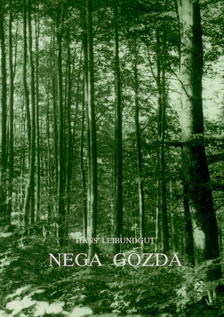 Nega-gozda.jpg