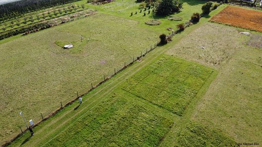 agronomija-predstavitev