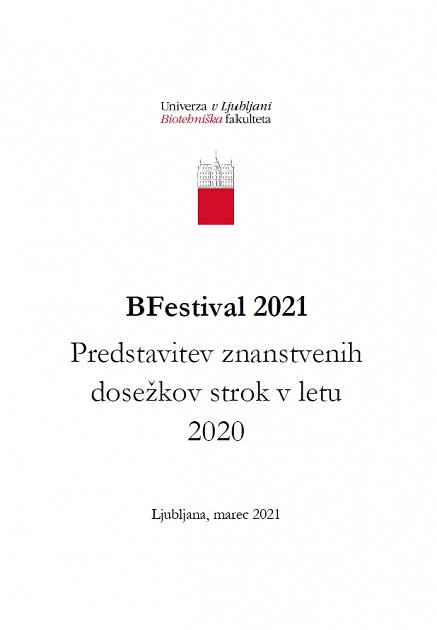 BFestival 2021