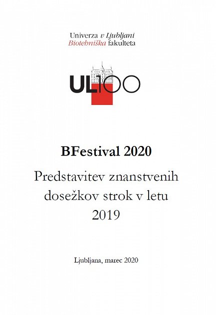 BFestival 2020
