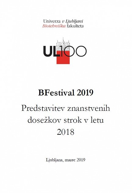 BFestival 2019