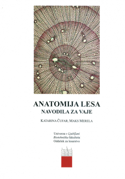 Anatomija lesa - navodila za vaje