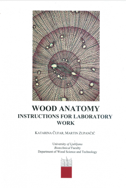 Wood anatomy