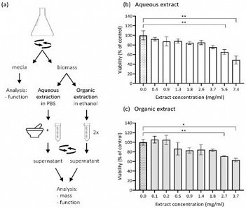 Slika4_Citotoksičnost metabolitov v ekstraktih E. dermatitidis na celice nevroblastov SH-SY5Y