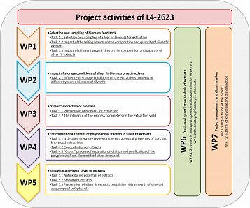 scheme_project activities of L4-2623.jpg