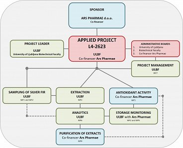 organigram_applied project L4-2623.jpg