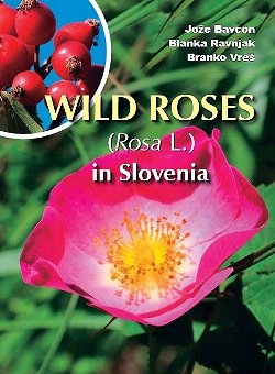 Wild roses in Slovenia