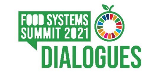 Food systems summit  dialogues