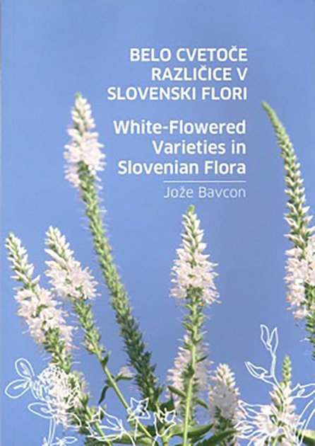 belo cvetoče