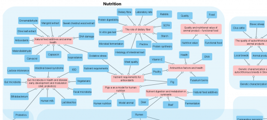 Research fields keywords2