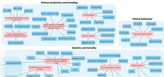 Research fields keywords3