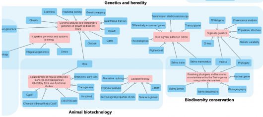 Research fields keywords4