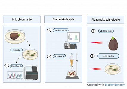 Mikrobiom ajde projekt (1)