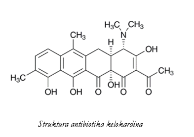 Posnetek zaslona (160)