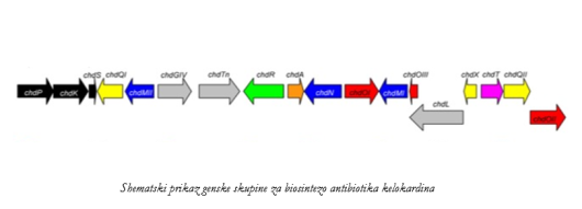 Posnetek zaslona (162)