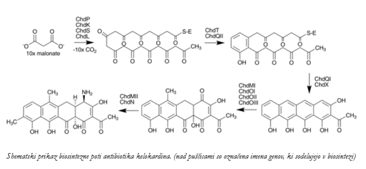 Posnetek zaslona (164)