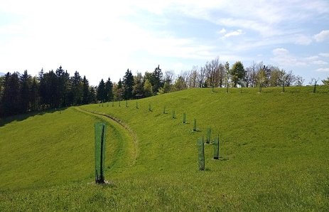 poskus