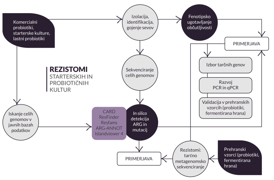 Shema - rezistom - slo