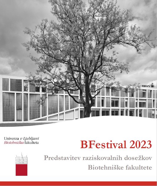 BFestival 2023