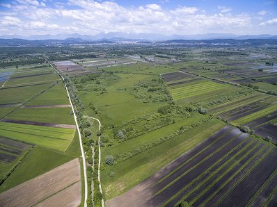 Naravni rezervat Iški morost z okoliško barjansko krajino_Tilen Basle