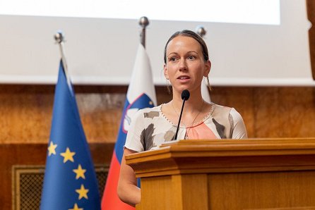 BOR_1193