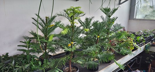 thumbnail_20230724_064622.jpg