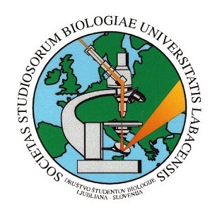 DSB logo.jpg