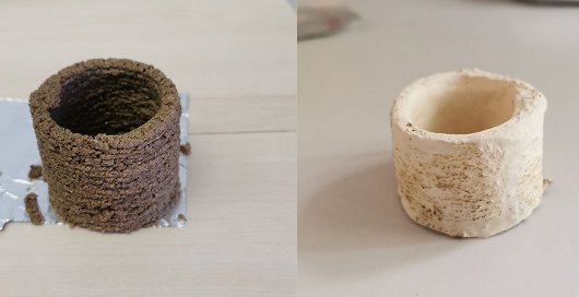 3D loncek pred in po prerascanju