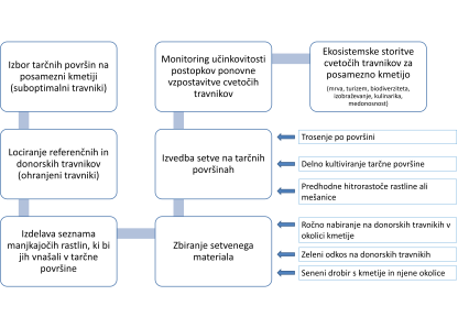 Koraki izvedbe projekta