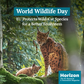 HM_World-Wildlife-Day_v2_GDN1200x1200