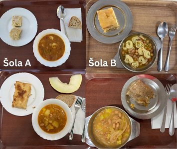 bolha3