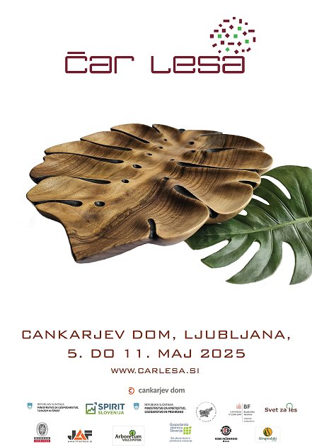plakat čar lesa 2025 CD 33-page-001