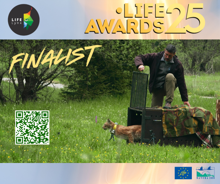 FINALST 2_LIFE Lynx_FB_QR