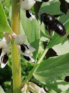 IMG_20210531_170000