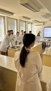 IMG_5526