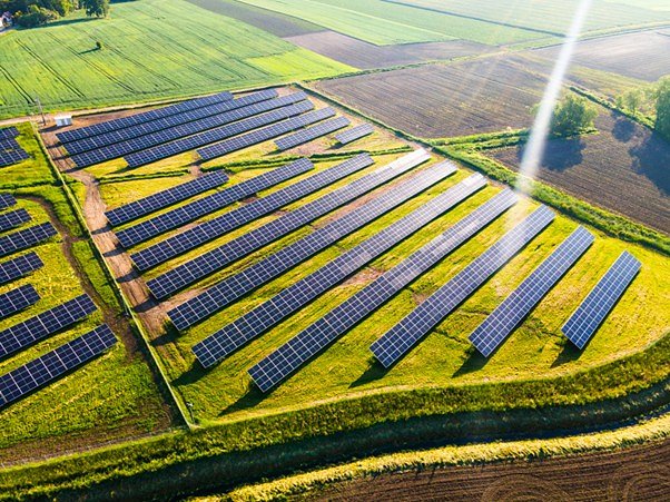 agrofoto