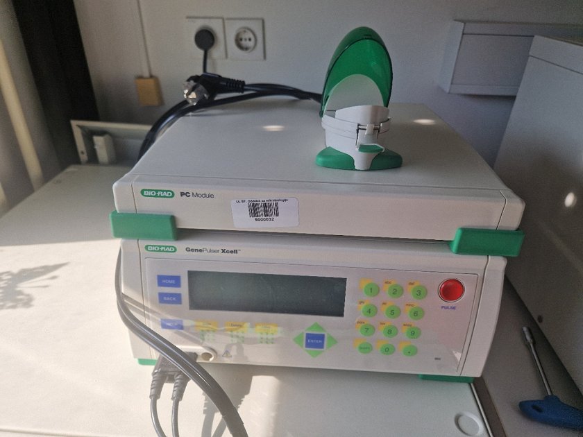 gene_pulser_xcell_microbial_system.jpg