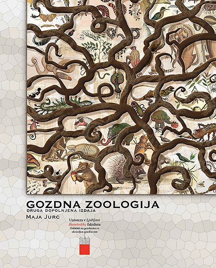 Gozdna zoologija