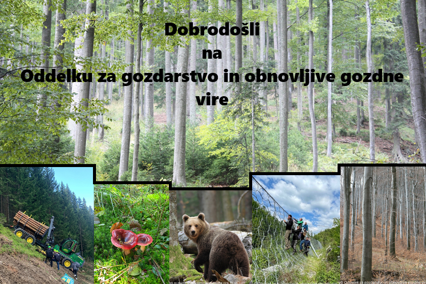 Slika k novici