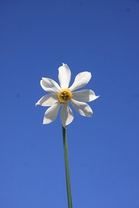 IMG_ (218705)