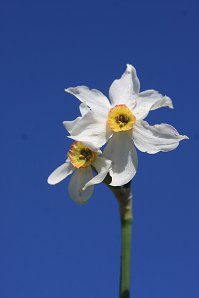 IMG_ (218755)