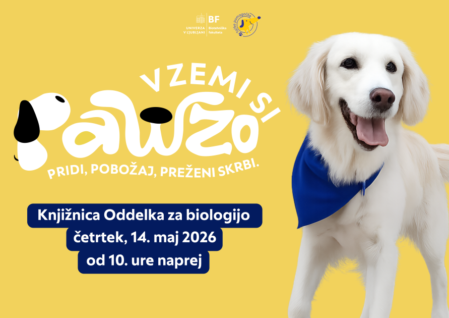 Pawza_-_kon__na_V1.1__1_.png