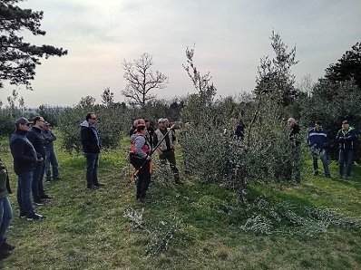 Slika12