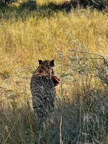 IMG_9003