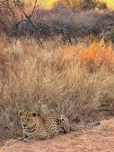 IMG_0876