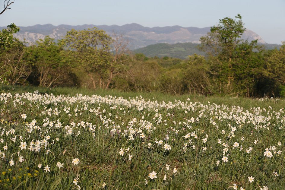 6C6A9002