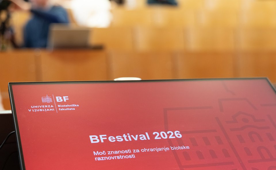BF-festival-2026-2