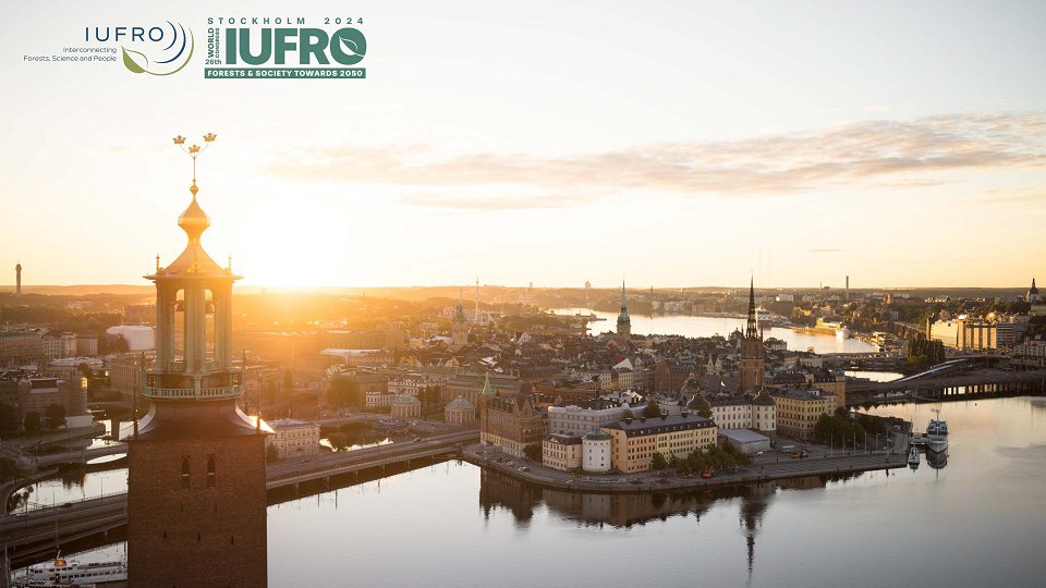 IUFRO2024-virtual-background-greenlogo