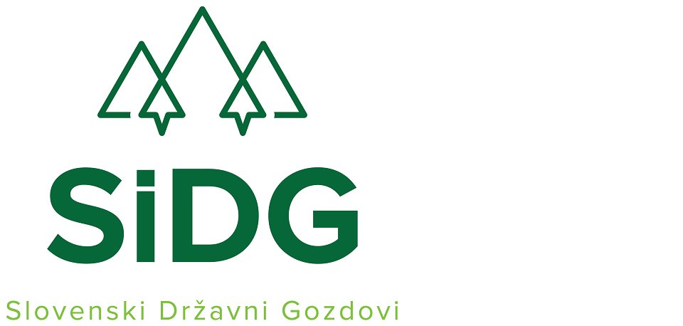 SiDG-logo-okok