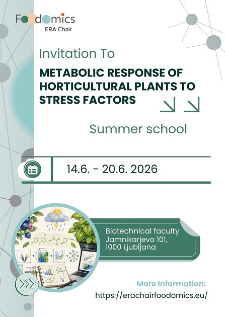 Summer school - invitation
